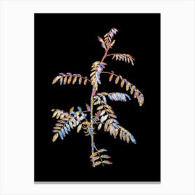 Stained Glass Flowering Indigo Plant Mosaic Botanical Illustration on Black n.0085 Canvas Print