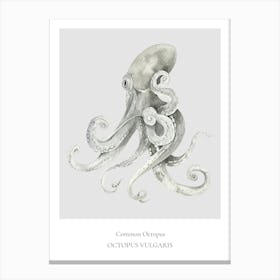 Common Octopus Canvas Print