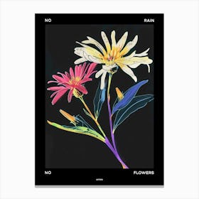 No Rain No Flowers Poster Asters 8 Canvas Print