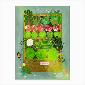 Garden Box With Rainbow Canvas Print