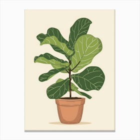 Fig Tree In Pot Canvas Print