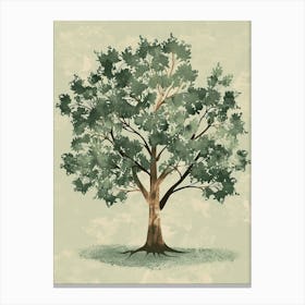 Pecan Tree Minimal Japandi Illustration 3 Canvas Print