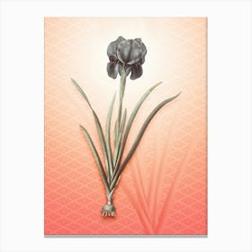 Mourning Iris Vintage Botanical in Peach Fuzz Hishi Diamond Pattern n.0281 Canvas Print