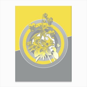 Vintage Johnny Jump Up Botanical Geometric Art in Yellow and Gray n.177 Canvas Print