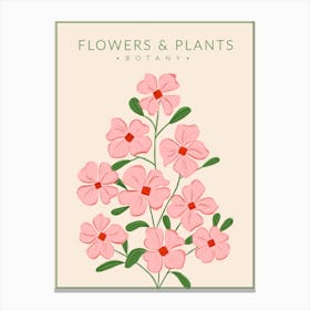 Soft Pink Flowers Botany Canvas Print