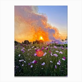 A Multitude Of Flowers Blossoming In The Center Their Petals Transitioning From Yellow To Pink To W (6) Canvas Print