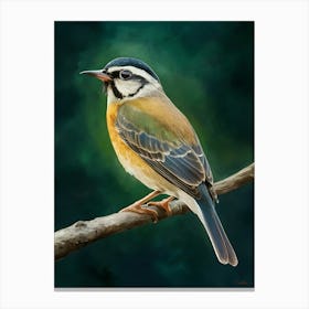 Bird On A Branch 8 Canvas Print