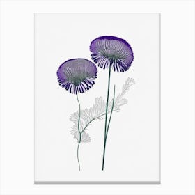 Scabiosa Floral Minimal Line Drawing 4 Flower Canvas Print