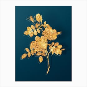 Vintage Austrian Briar Rose Botanical in Gold on Teal Blue Canvas Print