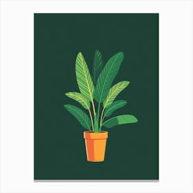 Potted Plant 24 Canvas Print