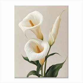 Calla Lily Canvas Print