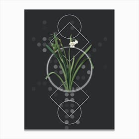Vintage Summer Snowflake Botanical with Geometric Line Motif and Dot Pattern n.0295 Canvas Print