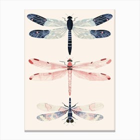 Colourful Insect Illustration Dragonfly 2 Canvas Print