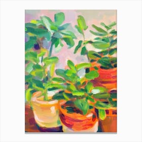 Chinese Money Plant 2 Impressionist Painting Canvas Print