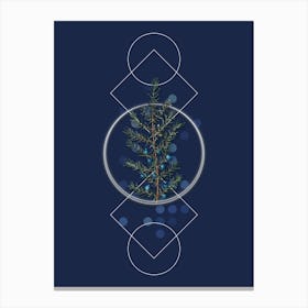 Vintage Common Juniper Botanical with Geometric Line Motif and Dot Pattern Canvas Print