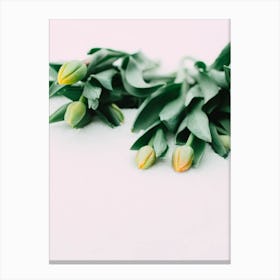 Tulips 1 Canvas Print