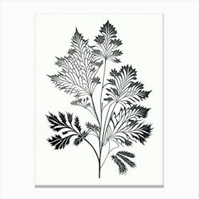 Lovage Herb William Morris Inspired Line Drawing 1 Canvas Print