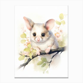 Light Watercolor Painting Of A Leadbeaters Possum 2 Canvas Print