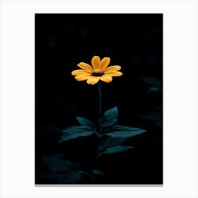 Single Yellow Flower 20 Canvas Print