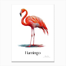 Flamingo. Long, thin legs. Pink or bright red color. Black feathers on the tips of its wings.11 Canvas Print
