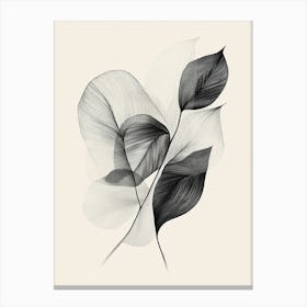 Black And White Leaves 4 Canvas Print