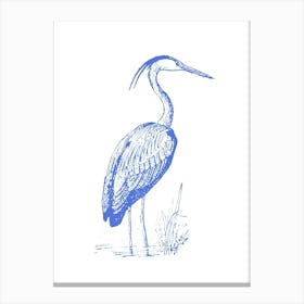 Heron Canvas Print