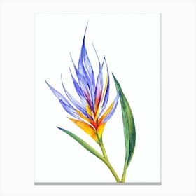 Bird Of Paradise 3 Watercolour Flower Canvas Print