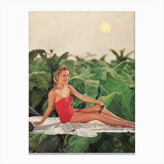Sunbathing Green & Pink Canvas Print