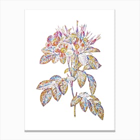 Stained Glass Pasture Rose Mosaic Botanical Illustration on White Canvas Print