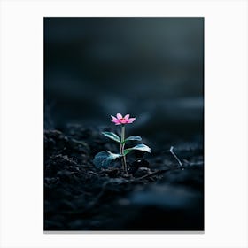 Single Flower In The Dark 83 Canvas Print