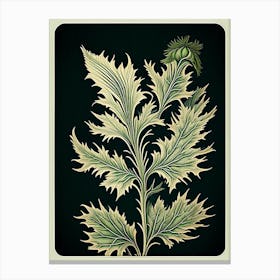 Artemisia Leaf Vintage Botanical 1 Canvas Print