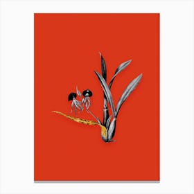 Vintage Clamshell Orchid Black and White Gold Leaf Floral Art on Tomato Red Canvas Print