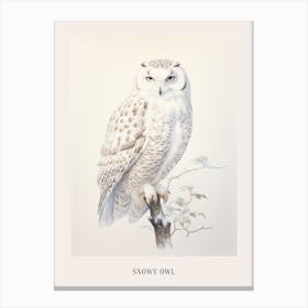 Vintage Bird Drawing Snowy Owl 2 Poster Canvas Print