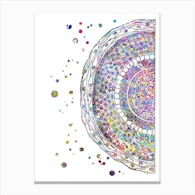 Cross Section Of Human Hair Watercolor Canvas Print