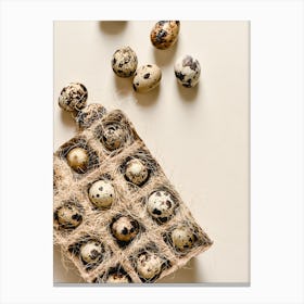 Quail Eggs 22 Canvas Print