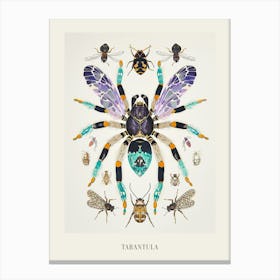 Colourful Insect Illustration Tarantula 9 Poster Canvas Print