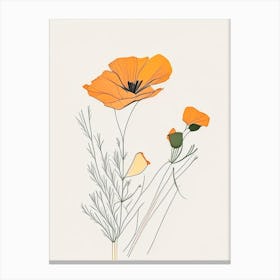 California Poppy Spices And Herbs Minimal Line Drawing 2 Canvas Print