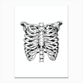 Black Chest Anatomy Black And White 1 Canvas Print