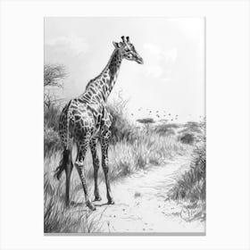 Lone Giraffe In The Wild 1 Canvas Print