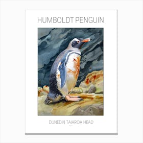 Humboldt Penguin Dunedin Taiaroa Head Watercolour Painting 3 Poster Canvas Print
