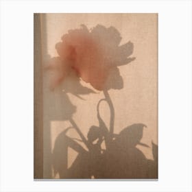 Abstract Flower Shadow 2 Canvas Print