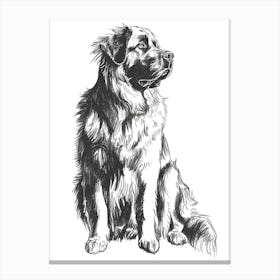 Leonberger Dog Line Sketch 2 Canvas Print