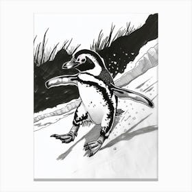 African Penguin Sliding On Ice 3 Canvas Print