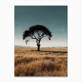 Lone Tree In The Grass Canvas Print