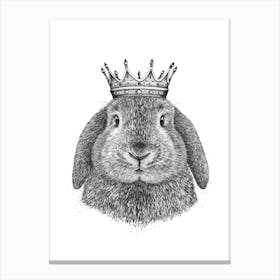 King Rabbit Canvas Print