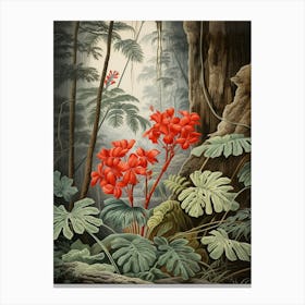 Vintage Jungle Botanical Illustration Jungle Geranium 2 Canvas Print