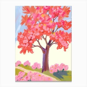 Cherry Blossom Tree 14 Canvas Print