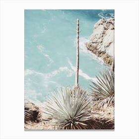 Agave Near Ocean Canvas Print