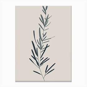 Rosemary Herb Simplicity Canvas Print