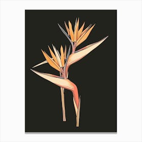 Bird Of Paradise 73 Canvas Print